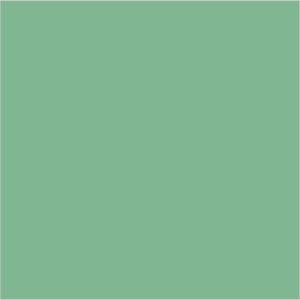 Farrow & Ball No 214 Arsenic