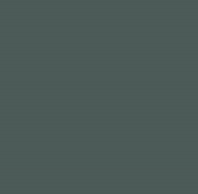 Load image into Gallery viewer, Farrow &amp; Ball No 238 Monkey Puzzle