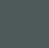 Farrow & Ball No 238 Monkey Puzzle