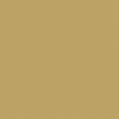 Farrow & Ball No 240 Cats Paw