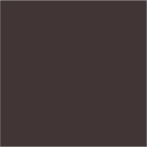 Farrow & Ball No 255 Tanners Brown
