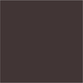 Farrow & Ball No 255 Tanners Brown