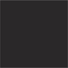 Load image into Gallery viewer, Farrow &amp; Ball No 256 Pitch Black