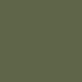 Farrow & Ball No 298 Bancha