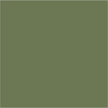Load image into Gallery viewer, Farrow &amp; Ball No 34 Calke Green