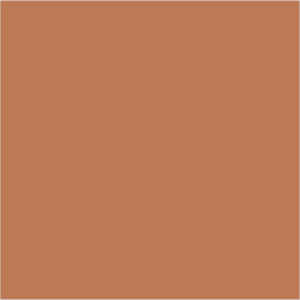 Farrow & Ball No 50 Book Room Red