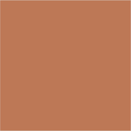 Farrow & Ball No 50 Book Room Red