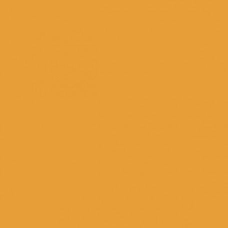 Farrow & Ball No 70 Orangery
