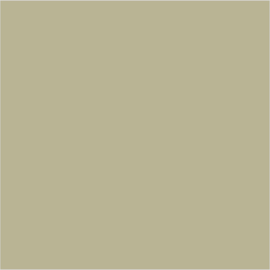 Farrow & Ball No 75 Ball Green