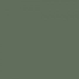 Farrow & Ball No 79 Card Room Green