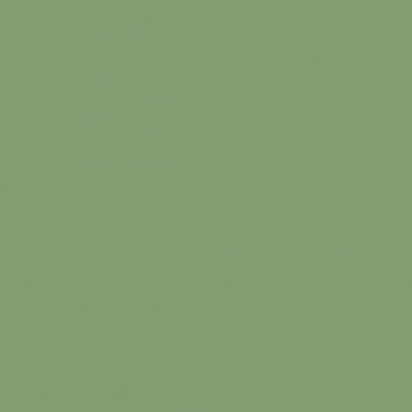 Farrow & Ball No 80 Saxon Green