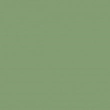 Load image into Gallery viewer, Farrow &amp; Ball No 80 Saxon Green