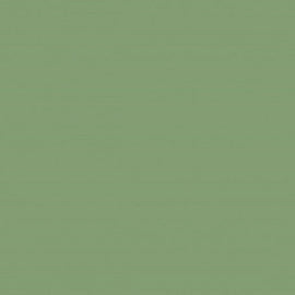 Farrow & Ball No 80 Saxon Green