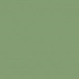 Farrow & Ball No 80 Saxon Green