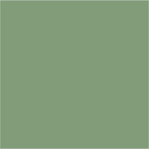 Farrow & Ball No 81 Breakfast Green