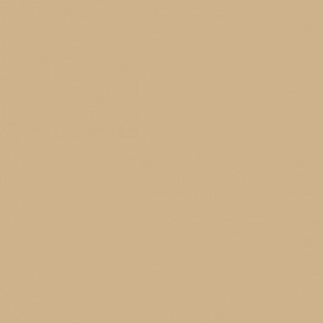 Farrow & Ball No 20 Buff
