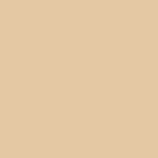 Farrow & Ball No 9 Light Stone