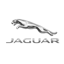 Load image into Gallery viewer, Jaguar