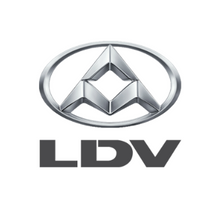 Load image into Gallery viewer, LDV