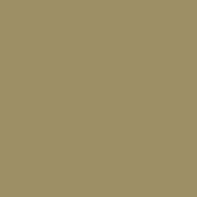 Load image into Gallery viewer, RAL 1020 Olive Yellow