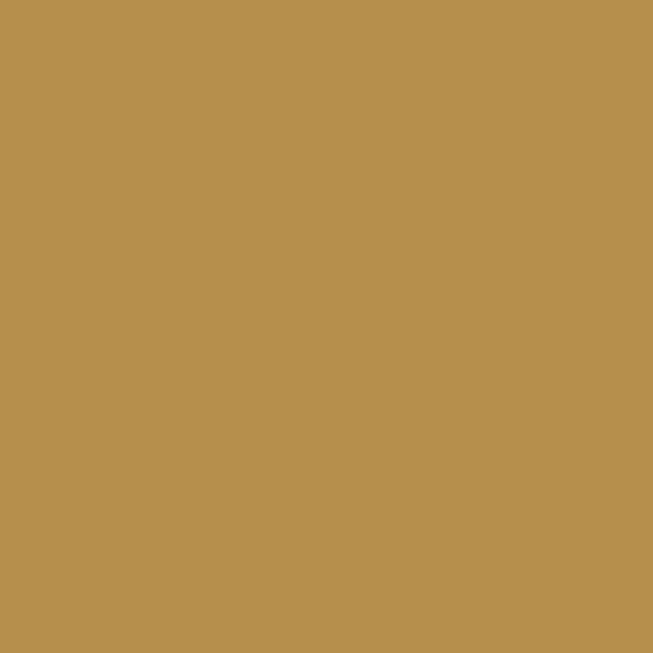 RAL 1024 Ochre Yellow