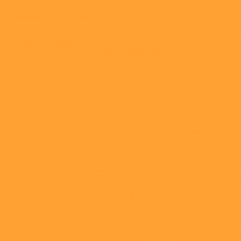 Load image into Gallery viewer, RAL 1028 Melon Yellow