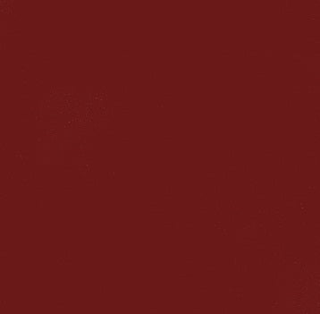 RAL 3005 Wine Red