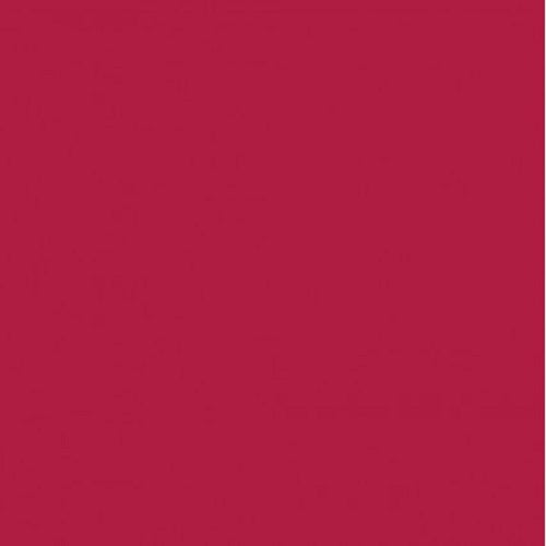 RAL 3027 Raspberry Red