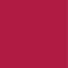 Load image into Gallery viewer, RAL 3027 Raspberry Red