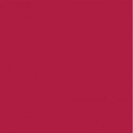 RAL 3027 Raspberry Red