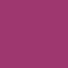 Load image into Gallery viewer, RAL 4006 Traffic Purple
