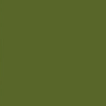 Load image into Gallery viewer, RAL 6003 Olive Green