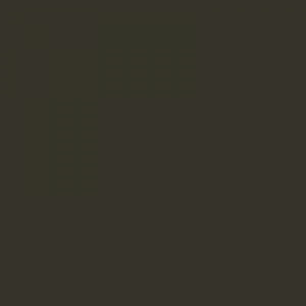RAL 6008 Brown Green