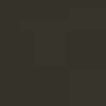 Load image into Gallery viewer, RAL 6008 Brown Green