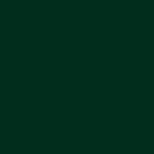 Load image into Gallery viewer, RAL 6009 Fir Green