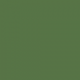 RAL 6010 Grass Green