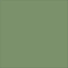Load image into Gallery viewer, RAL 6011 Reseda Green