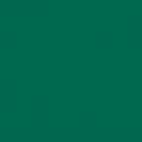 RAL 6016 Turquoise Green