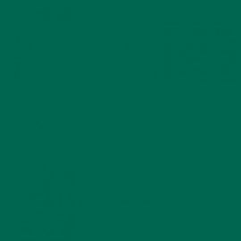 RAL 6016 Turquoise Green