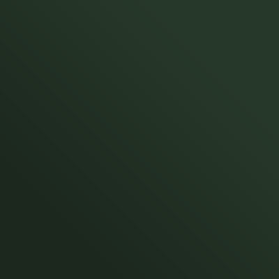 RAL 6020 Chrome Green