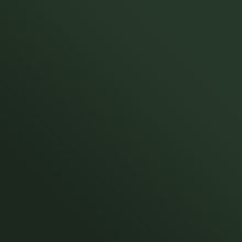 Load image into Gallery viewer, RAL 6020 Chrome Green