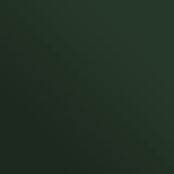 RAL 6020 Chrome Green