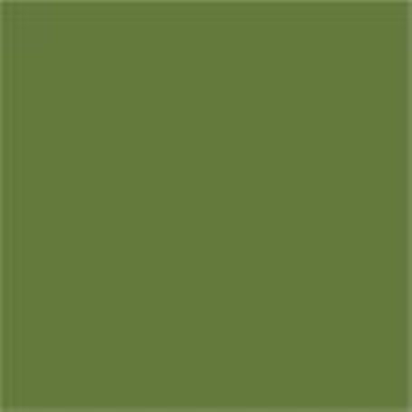 RAL 6025 Fern Green