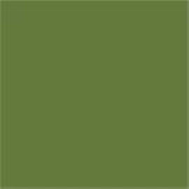 RAL 6025 Fern Green
