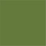 RAL 6025 Fern Green