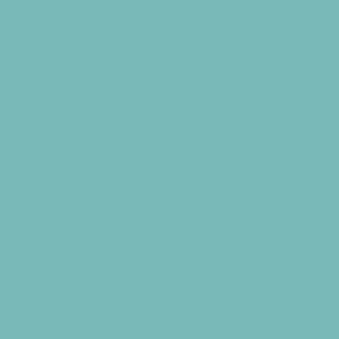 RAL 6027 Light Green