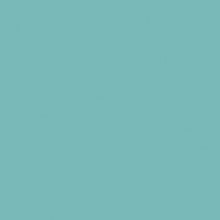 Load image into Gallery viewer, RAL 6027 Light Green