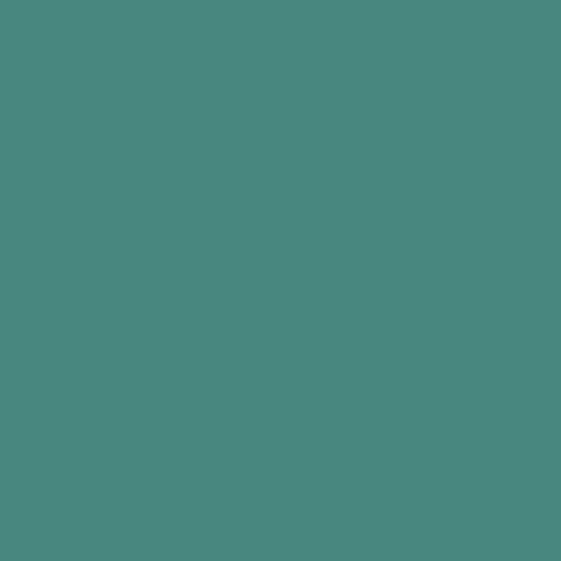 RAL 6033 Mint Turquoise