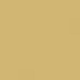 RAL 1002 Sand Yellow