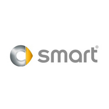 Load image into Gallery viewer, Smart